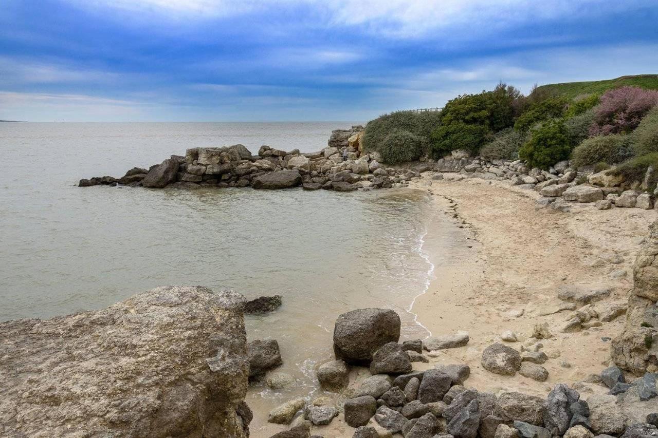 Royan - Appartement Vue Mer - A Seulement 300M Plage Et Commerces Dış mekan fotoğraf